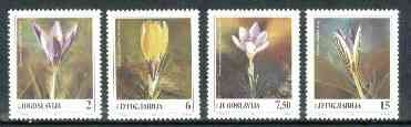 Yugoslavia 1991 Crocuses unmounted mint set of 4, SG 2683-86, stamps on , stamps on  stamps on flowers     crocuses