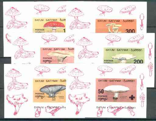 Batum 1998 World Scout Jamboree, Chile opt'd on set of 6 individual Fungi sheetlets (imperf) unmounted mint, stamps on fungi  scouts