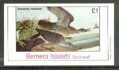 Bernera 1982 Bartramian Sandpiper imperf souvenir sheet (£1 value) unmounted mint, stamps on birds   