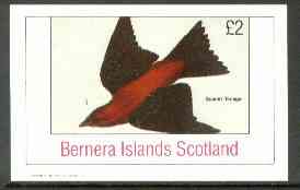 Bernera 1982 Scarlet Tanager imperf deluxe sheet (£2 value) unmounted mint, stamps on birds   