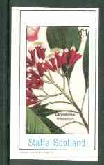 Staffa 1982 Flowers #24 (Caryophyllus) imperf souvenir sheet (£1 value) unmounted mint, stamps on flowers    