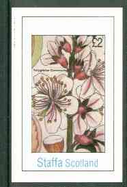 Staffa 1982 Flowers #24 (Amygdalus) imperf deluxe sheet (Â£2 value) unmounted mint, stamps on flowers