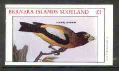 Bernera 1982 Evening Grosbeak imperf souvenir sheet (Â£1 value) unmounted mint, stamps on , stamps on  stamps on birds   