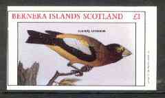 Bernera 1982 Evening Grosbeak imperf souvenir sheet (£1 value) unmounted mint, stamps on birds   