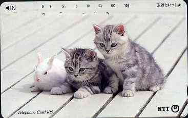 Telephone Card - Japan 105 units phone card showing two Kittens with Rabbit (card dated 1.2.1996), stamps on , stamps on  stamps on cats     rabbits