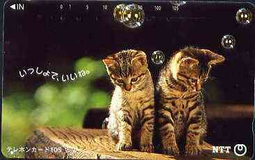 Telephone Card - Japan 105 units phone card showing two Kittens with bubbles (card 111-036)