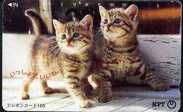 Telephone Card - Japan 105 units phone card showing two Kittens looking up (card 111-028), stamps on cats     