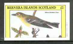 Bernera 1982 Yellow Throated Vireo imperf souvenir sheet (£1 value) unmounted mint, stamps on birds   