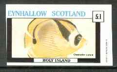 Eynhallow 1982 Fish #06 (Chaetodon lunula) imperf souvenir sheet (£1 value) unmounted mint, stamps on fish