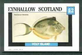 Eynhallow 1982 Fish #07 (Acanthurus unicornis) imperf deluxe sheet (£2 value) unmounted mint, stamps on fish, stamps on unicorns