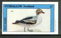 Eynhallow 1982 Birds #20 (Teal) imperf souvenir sheet (Â£1 value) unmounted mint, stamps on birds     teal, stamps on ducks