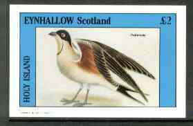 Eynhallow 1982 Birds #20 (Pratincole) imperf deluxe sheet (£2 value) unmounted mint, stamps on birds