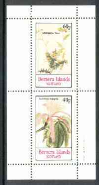 Bernera 1982 Flowers #15 (Chorizema & Carolinea) perf  set of 2 values (40p & 60p) unmounted mint, stamps on , stamps on  stamps on flowers