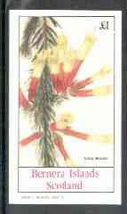 Bernera 1982 Flowers #15 (Erica Bicolor) imperf souvenir sheet (£1 value) unmounted mint, stamps on flowers