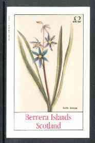 Bernera 1982 Flowers #15 (Scilla amena) imperf  deluxe sheet (£2 value) unmounted mint, stamps on flowers
