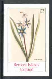 Bernera 1982 Flowers #15 (Scilla amena) imperf  deluxe sheet (Â£2 value) unmounted mint, stamps on flowers