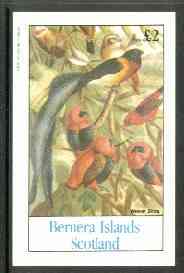 Bernera 1982 Birds #29 (Weaver Birds) imperf  deluxe sheet (£2 value) unmounted mint, stamps on birds   