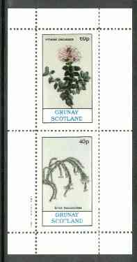 Grunay 1982 Flowers #05 (Pimelea & Erica) perf set of 2 (40p & 60p) unmounted mint, stamps on , stamps on  stamps on flowers