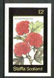 Staffa 1982 Flowers #25 (Flowering Thorn) imperf deluxe sheet (£2 value) unmounted mint, stamps on flowers     