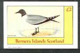Bernera 1982 Birds #31 (Sabine's Gull) imperf deluxe sheet (£2 value) unmounted mint, stamps on birds   
