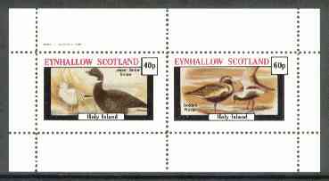 Eynhallow 1982 Shorebirds (Snipe & Plover) perf set of 2 values unmounted mint, stamps on , stamps on  stamps on birds     snipe    plover