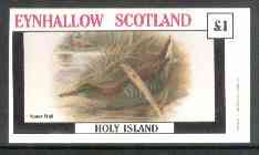 Eynhallow 1982 Water Rail imperf souvenir sheet (£1 value) unmounted mint, stamps on birds     