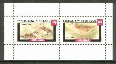 Eynhallow 1982 Marshbirds (Snipe & Crake) perf set of 2 values unmounted mint, stamps on , stamps on  stamps on birds     snipe    crake