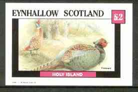 Eynhallow 1982 Pheasant imperf deluxe sheet (Â£2 value) unmounted mint, stamps on , stamps on  stamps on birds     pheasant    game