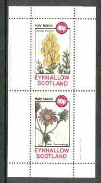 Eynhallow 1982 Flowers #12 (Genista & Aster) perf set of 2 values unmounted mint, stamps on flowers