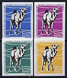 Match Box Labels - Camel from Portuguese Wildlife set with 4 diff background colours, fine unused condition (4 labels), stamps on , stamps on  stamps on animals    camel