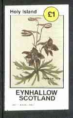 Eynhallow 1982 Flowers #13 (Delphinium) imperf souvenir sheet (£1 value) unmounted mint, stamps on flowers