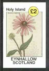 Eynhallow 1982 Flowers #13 (Rudbeckia asperrima) imperf deluxe sheet (£2 value) unmounted mint, stamps on flowers