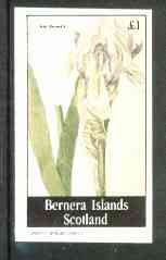 Bernera 1982 Flowers #16 (Iris swertii) imperf souvenir sheet (Â£1 value) unmounted mint, stamps on , stamps on  stamps on flowers    iris