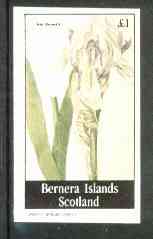 Bernera 1982 Flowers #16 (Iris swertii) imperf souvenir sheet (£1 value) unmounted mint, stamps on flowers    iris