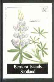 Bernera 1982 Flowers #16 (Lupinus nanus) imperf deluxe sheet (Â£2 value) unmounted mint, stamps on flowers  
