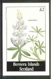 Bernera 1982 Flowers #16 (Lupinus nanus) imperf deluxe sheet (£2 value) unmounted mint, stamps on flowers  