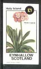 Eynhallow 1982 Flowers #15 (Primula longifolia) imperf souvenir sheet (Â£1 value) unmounted mint, stamps on flowers