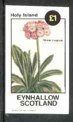 Eynhallow 1982 Flowers #15 (Primula longifolia) imperf souvenir sheet (£1 value) unmounted mint, stamps on flowers