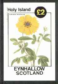 Eynhallow 1982 Flowers #15 (Calliopsis drummondii) imperf deluxe sheet (£2 value) unmounted mint, stamps on flowers
