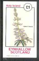 Eynhallow 1982 Flowers #16 (Lupinus ornatus) imperf souvenir sheet (Â£1 value) unmounted mint, stamps on flowers
