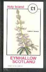 Eynhallow 1982 Flowers #16 (Lupinus ornatus) imperf souvenir sheet (£1 value) unmounted mint, stamps on flowers