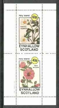 Eynhallow 1982 Flowers #17 (Potentilla & Malva) perf set of 2 values unmounted mint, stamps on flowers