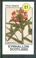 Eynhallow 1982 Flowers #17 (Collomia linearis) imperf souvenir sheet (£1 value) unmounted mint, stamps on flowers