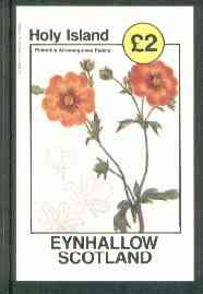 Eynhallow 1982 Flowers #17 (Potentilla atrosanguines pedata) imperf deluxe sheet (£2 value) unmounted mint, stamps on flowers