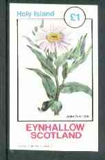 Eynhallow 1982 Flowers #18 (Aster sibiricus) imperf souvenir sheet (£1 value) unmounted mint, stamps on flowers