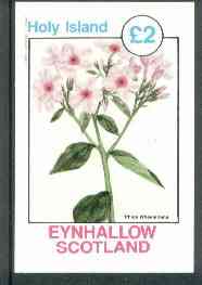 Eynhallow 1982 Flowers #18 (Phlox wheeleriana) imperf deluxe sheet (£2 value) unmounted mint, stamps on flowers