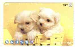 Telephone Card - Japan 50 units phone card showing two Puppies in Yellow Basket (card number 290-386), stamps on dogs