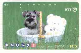 Telephone Card - Japan 105 units phone card showing Shnauzer with soft toy in Basket (card number 290-382), stamps on dogs       toys