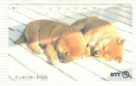Telephone Card - Japan 105 units phone card showing Two Chow Puppies sleeping on Floorboards (card number 111-056), stamps on dogs   