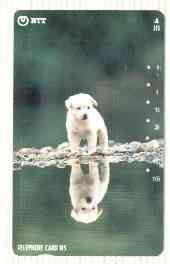 Telephone Card - Japan 105 units phone card showing Puppy Looking at his Reflection (vert card with green background) number 111-067, stamps on dogs